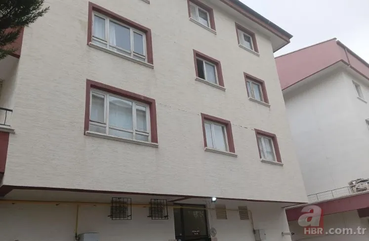 Yaşlı çift dehşet saçtı! Polise satırla saldırı girişimi kamerada | Kimyasal madde ile zehirlemeye çalıştılar 8