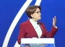 Akşener 10 elçiyi temize çıkarmaya çalıştı!