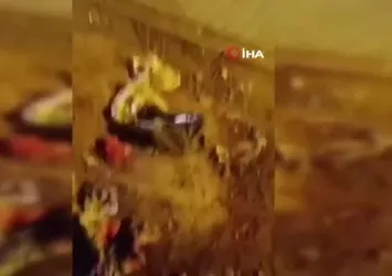 Mardin’de silahlı kavga: 1 yaralı