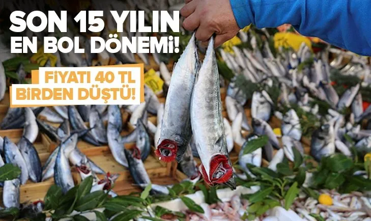 Marmara’da lüfer bolluğu hem balıkçıların hem de balıkseverlerin yüzünü güldürdü