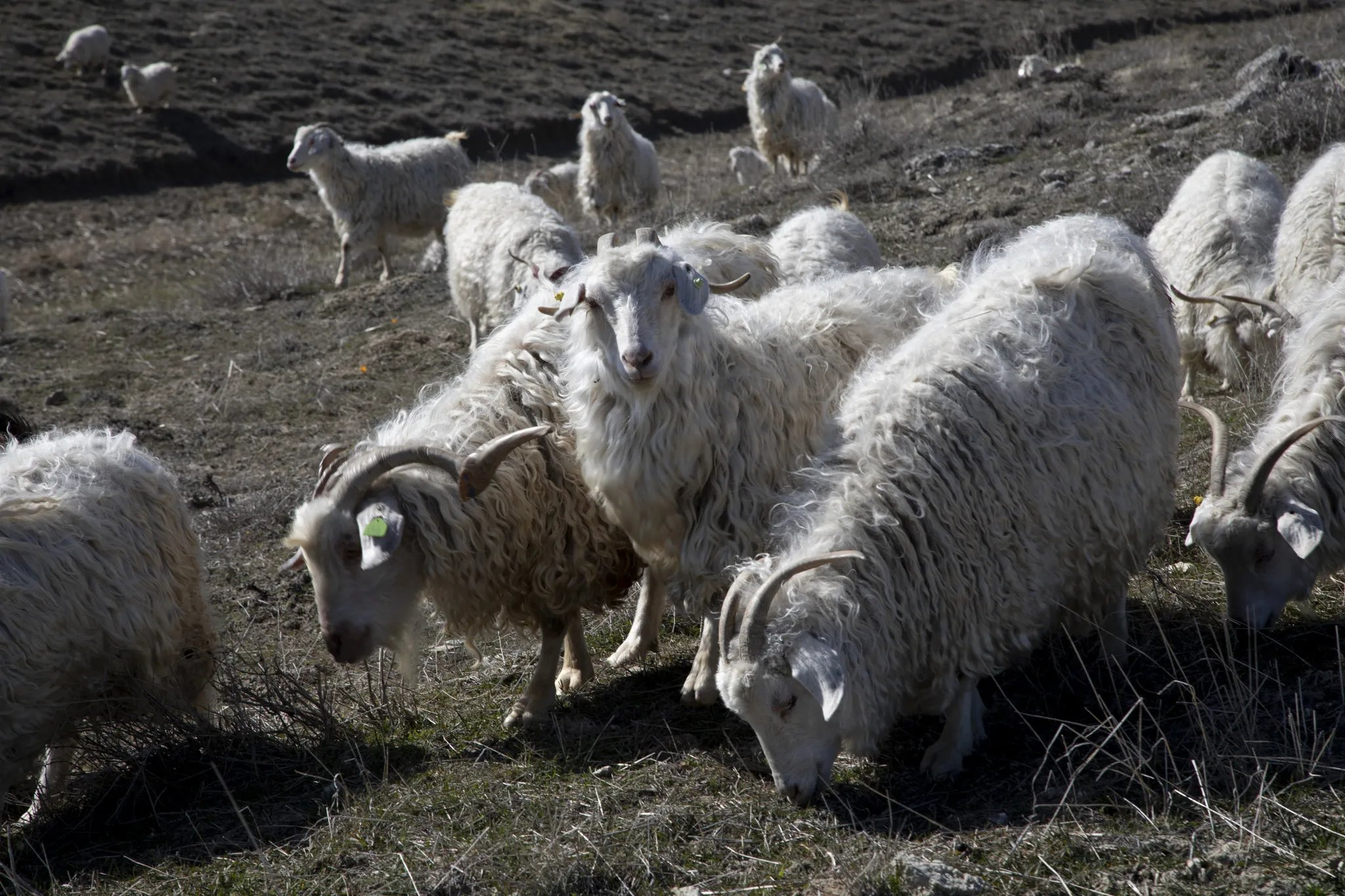 Savunma, sağlık, tarım ve havacılık: İç Anadolu’nun 13 ilinde üretim seferberliği