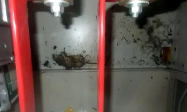 20 bin kişiyi öldüren nükleer santralde sızıntı! Dünyanın gözü anbean Japonya’da