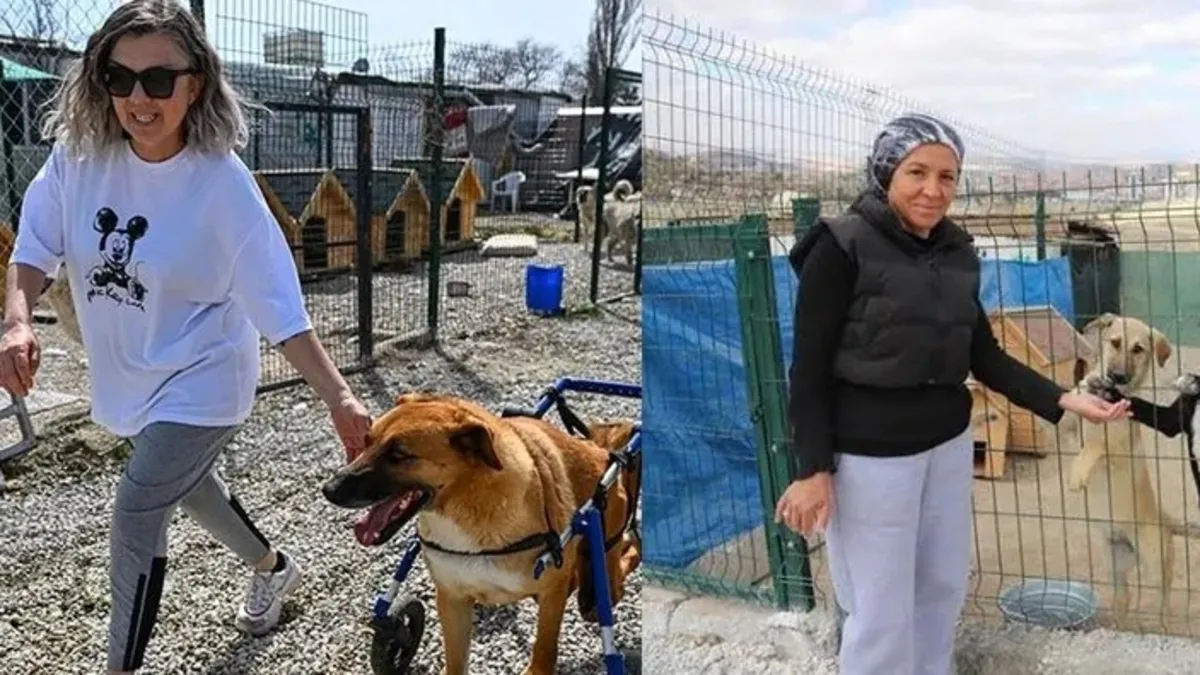 Mama bağışlarını ceplerine indirdiler! Hem kişisel hem aile üyelerine hesaplarına milyonlar gönderdiler