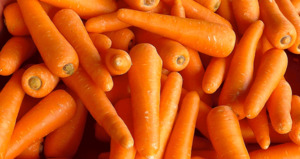 1 adet havucu uyumadan önce yerseniz...