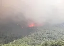 Aydın’da orman yangını