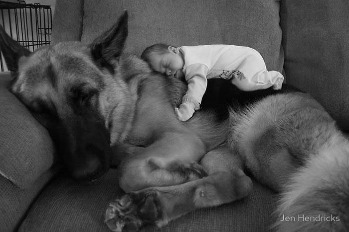Küçük çocuklarla büyük köpekler