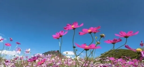 cemre-dusme-tarihleri-2023-cemre-nedir-dustu-mu-havaya-suya-topraga-ne-zaman-hangi-ayda-duser-1674831262650.jpg CEMRE DÜŞME TARİHLERİ 2023 | Cemre nedir, düştü mü? Havaya, suya, toprağa ne zaman, hangi ayda düşer? - 3