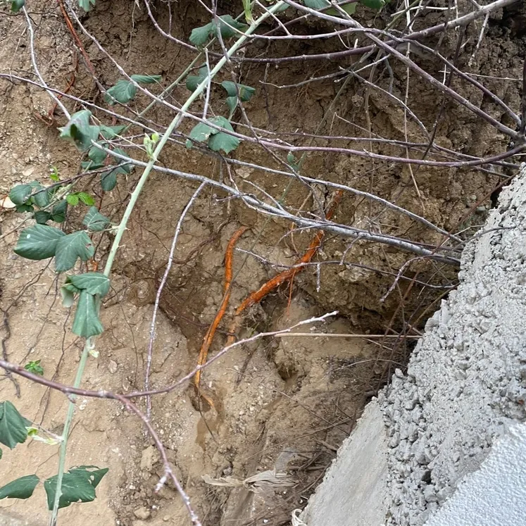 Site bahçesinde dehşet!