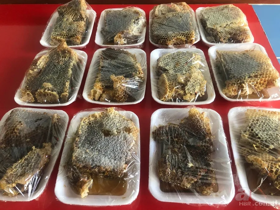 Valizden çıkanlar şoke etti! Kaçtığını sandı ama… 5