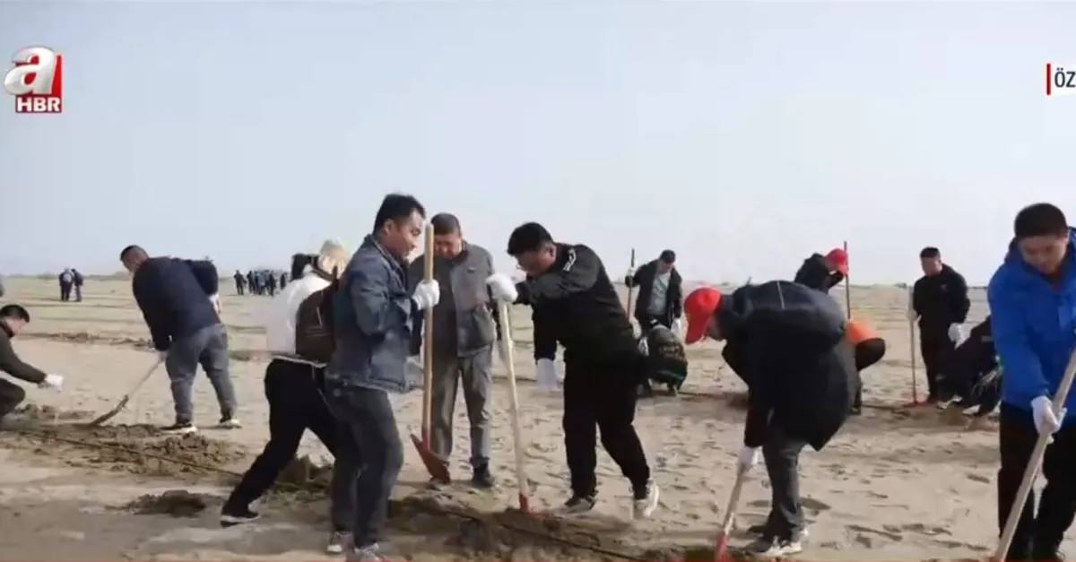 Çölden vahaya muhteşem dönüşüm