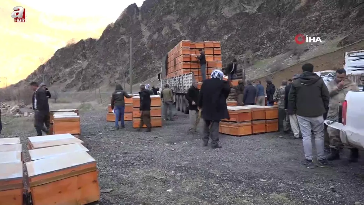 Arıcılara 5 milyonluk devlet desteği