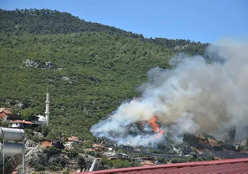 Son dakika | İzmir Kemalpaşa'da korkutan orman yangını! Ekipler bölgede