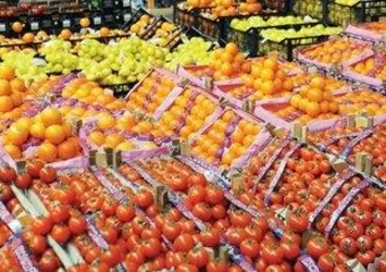 Sebze-meyve fiyatına kooperatif freni