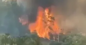 Saniyeler içinde alevler etrafı sardı