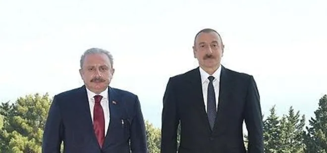 Azerbaycan Cumhurbaşkanı Aliyev TBMM Başkanı Şentop’u kabul etti