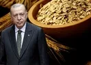 BM ve Ukraynadan Başkan Erdoğana teşekkür