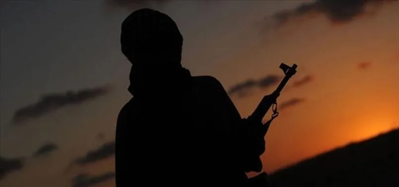 Son dakika: İçişleri Bakanlığı duyurdu: 1 PKK'lı terörist teslim oldu
