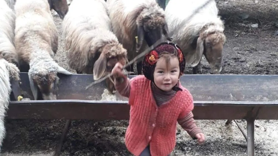 Müge Anlı'da aranan Müslüme'nin ölümünün ardından annesi konuştu! Kayınpederi hakkında çarpıcı sözler! Adli Tıp uzmanı 'mümkün değil' demişti...