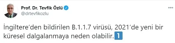 Bilim Kurulu Üyesi Prof. Dr. Tevfik Özlü'den mutasyon ve yeni dalga uyarısı - 4