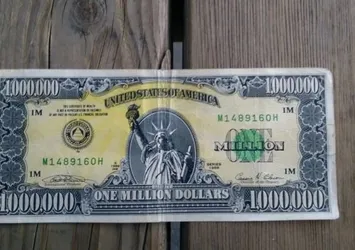 Türkiye'de 1 milyon dolarlık banknot yakalandı