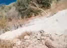 Turizm cennetinde çevre kirliliği