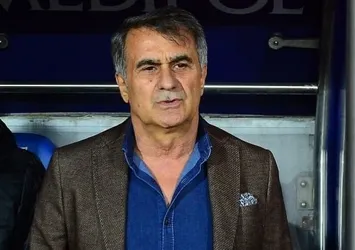 Şenol Güneş'i kızdıran soru! 'Ne faturası?'