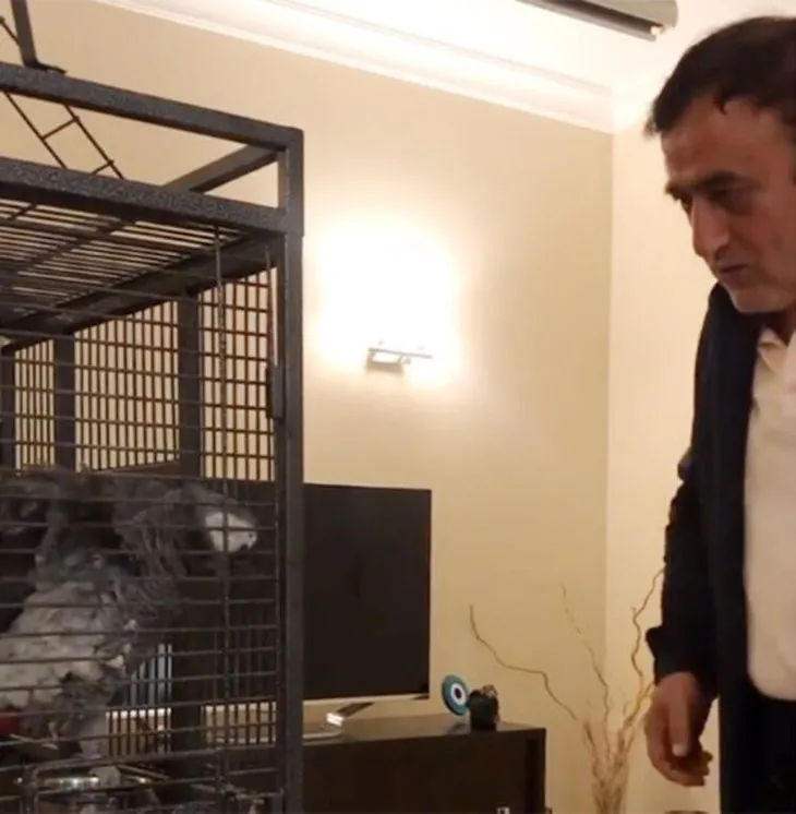 Mahmut Tuncer papağanla halay çekti! Sosyal medya yıkıldı