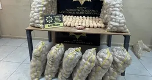 Patates çuvallarından çıkanlar şoke etti!