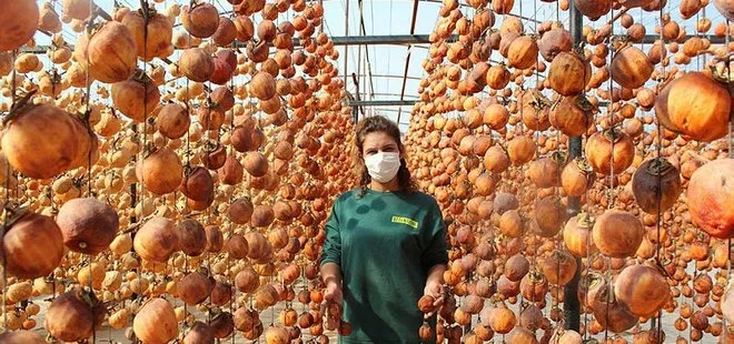 Manisalı Melek 40 kilo ile başladı şimdi yıllık 50 ton cennet elmasını kurutup satıyor
