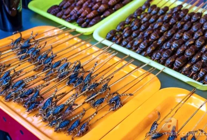 Ne bulsa yiyorlar! İşte koronavirüsün yayıldığı pazar... 17