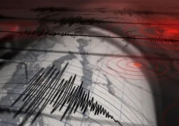 Çanakkale Ayvacık'ta korkutan deprem!