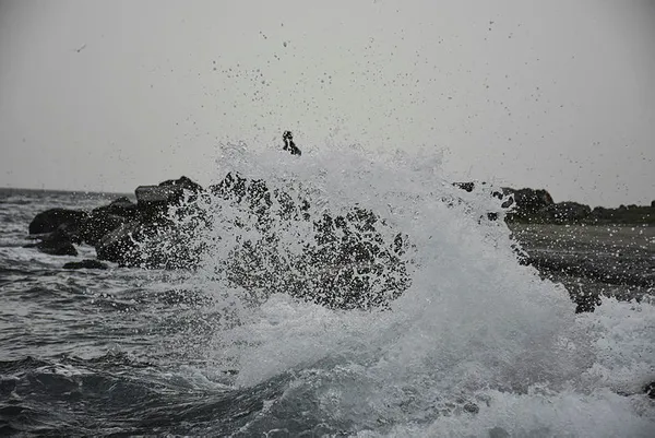 istanbul-vapur-seferleri-iptal-mi-29-kasim-eminonu-besiktas-kadikoy-vapur-seferleri-iptal-mi-1638185648908.jpg İstanbul vapur seferleri yapılıyor mu? 30 Kasım İstanbul'da Eminönü, Beşiktaş, Kadıköy vapur seferleri iptal mi? - 2