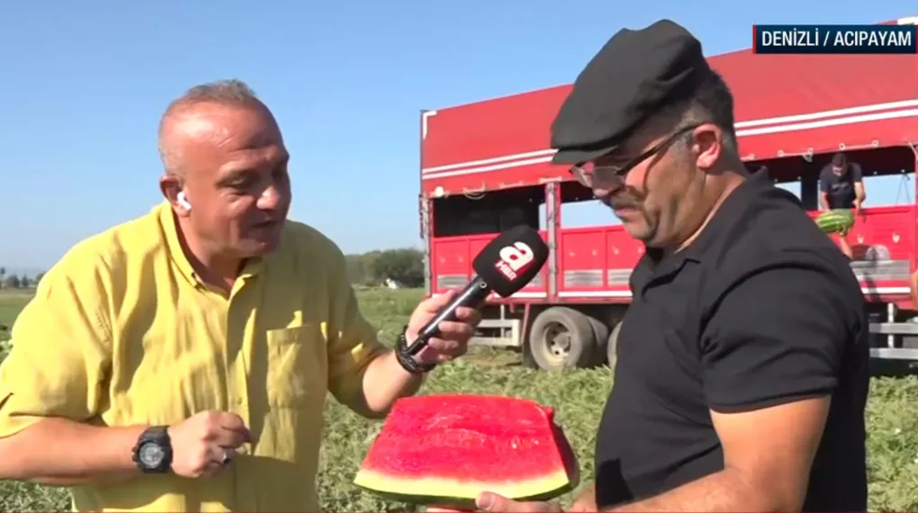 Denizli Acıpayam'da karpuz hasadı yapılıyor