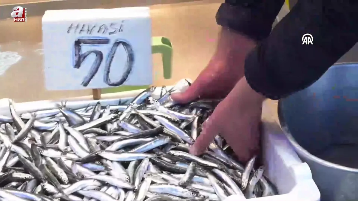 Hamsinin kilogramı 50 liradan satılıyor