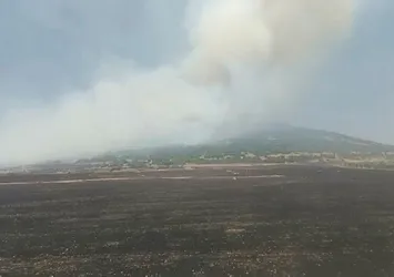 Kahramanmaraş'ta orman yangını