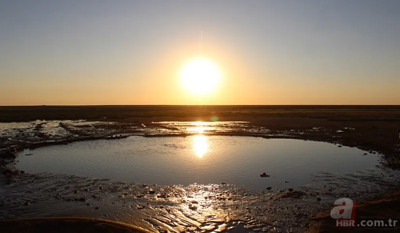 En son 2016'da görülmüştü yeniden ortaya çıktı! Tedirgin eden görüntüler: Uzmanından açıklama 12