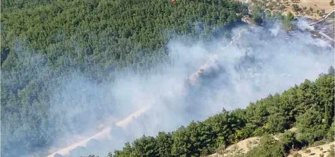 Gelibolu Yarımadası Tarihi Alan'da yangın