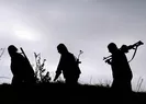 Şırnakta 2 PKKlı terörist öldürüldü