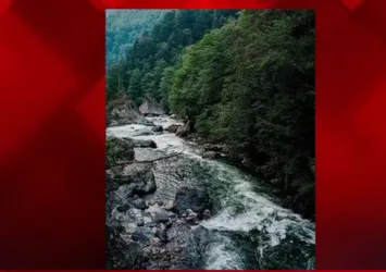 Rize dünya basınında! Bir "bal ormanı" rüyası