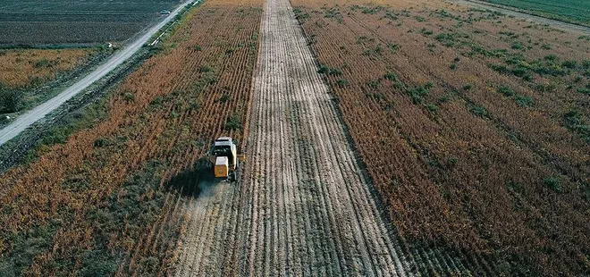 Türk tarımı dünya markası olacak