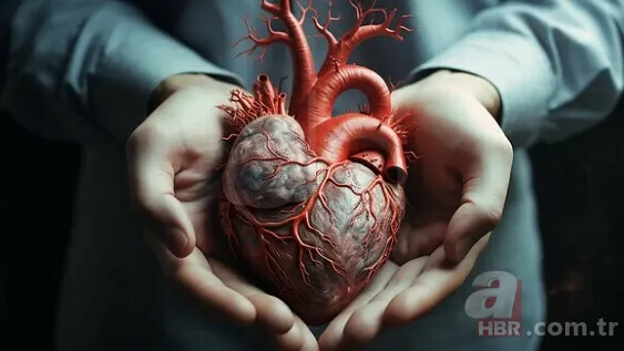 İnanılmaz! Doktorları bile hayrete düşürdü: 66 yıldır iç organları tersine çalışıyor 13