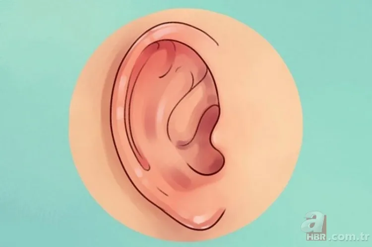 Kulak memesindeki çapraz çizgi ne işe yarar? 11