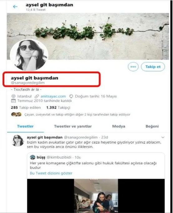 Barış Pınarı Harekatı ve Türkiye Cumhuriyeti'ne hakaret edene sahip çıktılar - 2