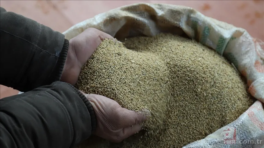 Gülüşünüzü sigortalayın! Diş hekimlerinin dişler için önerdiği 7 yiyecek! 8