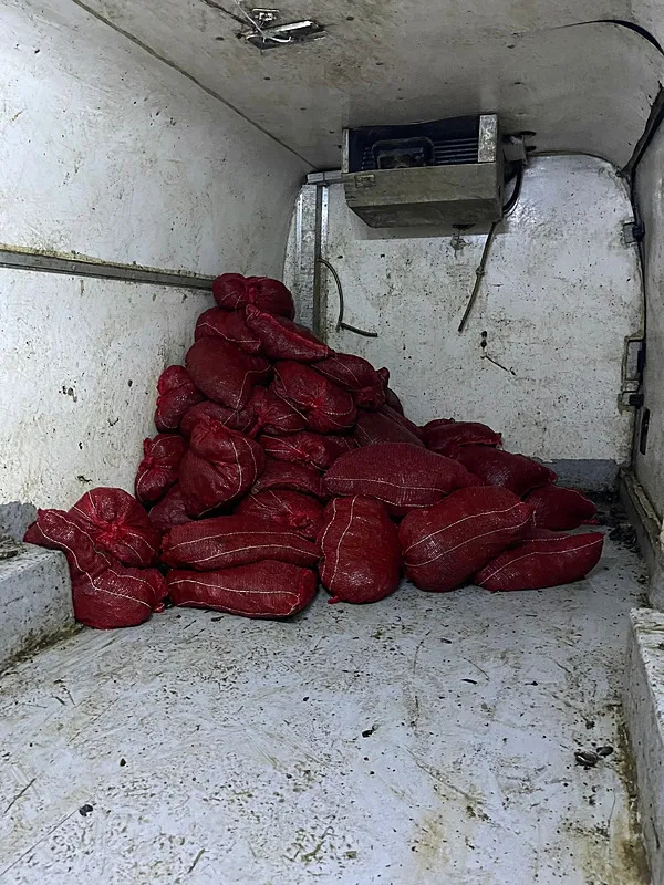 istanbulda-1-ton-kacak-mide-yakalandi-istanbul-ankara-ve-izmirde-piyasaya-surulecekti-1720345258019.jpg İstanbul'da 1 ton kaçak mide yakalandı! İstanbul, Ankara ve İzmir'de piyasaya sürülecekti... - 1