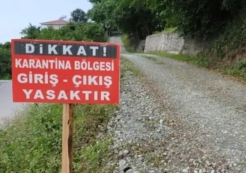 Hakkari'de karantina! Geçici yasak geldi