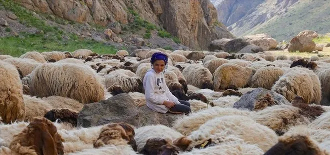 Göçer ailelerin yaylalardaki yükünü çocuklar da omuzluyor