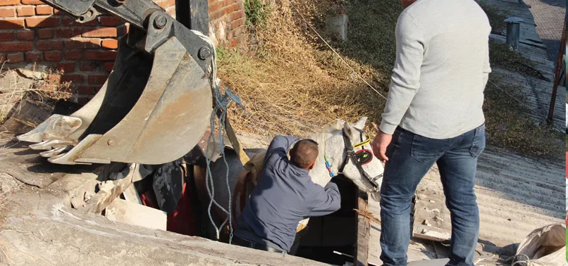 Çatıdan at düştü