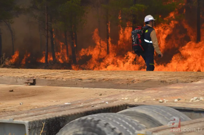 Orman Genel Müdürlüğü mevsimlik işçi alımı 2022 | Bakanlık duyurdu! Karar Resmi Gazete'de! İş arayanlara güzel haber 10