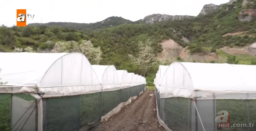 Müge Anlı’da araştırılan Muhammet Burhan cinayetinde şok ifade! Görgü tanığı konuştu: "‘Seni öldüreyim mi?’ diye bağırdı…” 3